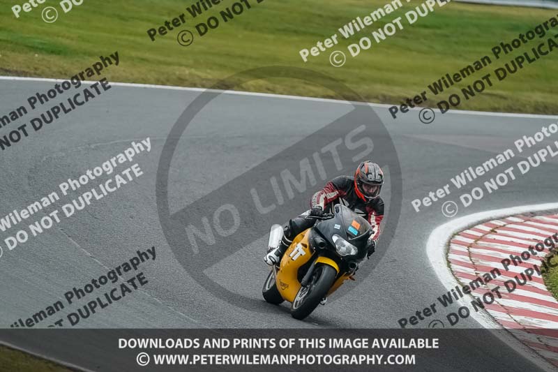 anglesey;brands hatch;cadwell park;croft;donington park;enduro digital images;event digital images;eventdigitalimages;mallory;no limits;oulton park;peter wileman photography;racing digital images;silverstone;snetterton;trackday digital images;trackday photos;vmcc banbury run;welsh 2 day enduro